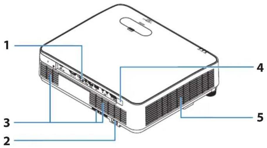 SHARP NP-P525WL - Rear - 1