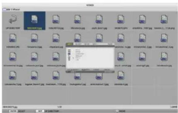 SHARP NP-P525WL - Move the cursor to an input terminal other than [USB-A] and press the ENTER button. - 2