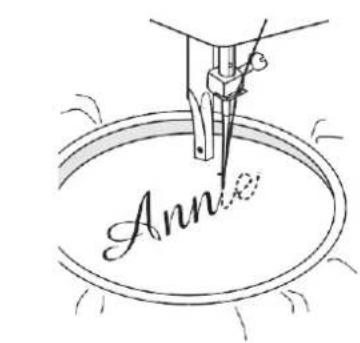 Ann
