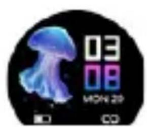 03 08 MON 29 CD CD
