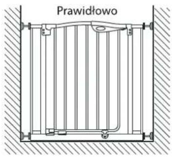 Prawidłowo Widok z góry