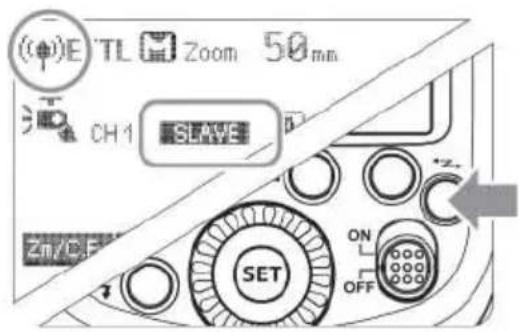 (●)E Tl Zoom 50mm CH1 STAVE Zn/C.F SET ON OFF