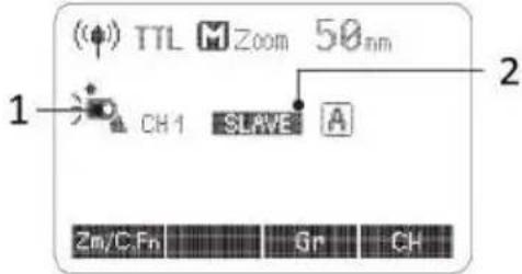 (Φ) TTL M Zoom 50nm 1 CH-1 SLAVE A 2 Zm/C.Fn Gr CH