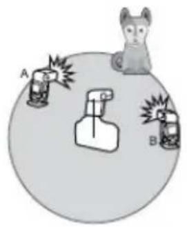 A B