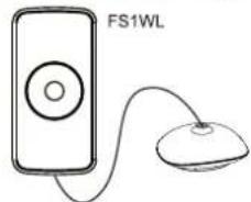 Ferguson FS2WL - 1