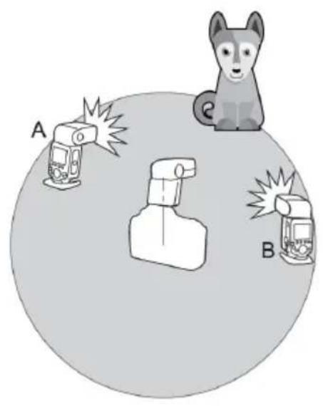 A B