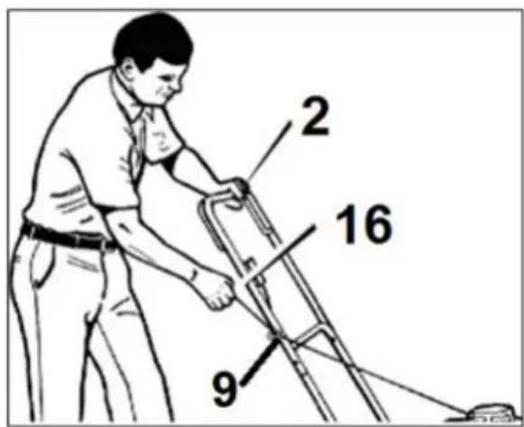 2 16 9