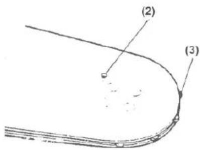 (2) (3)