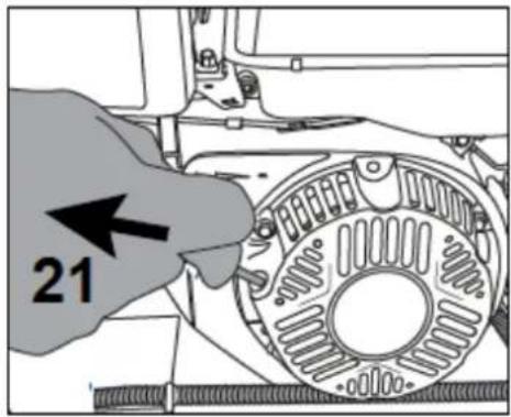 21