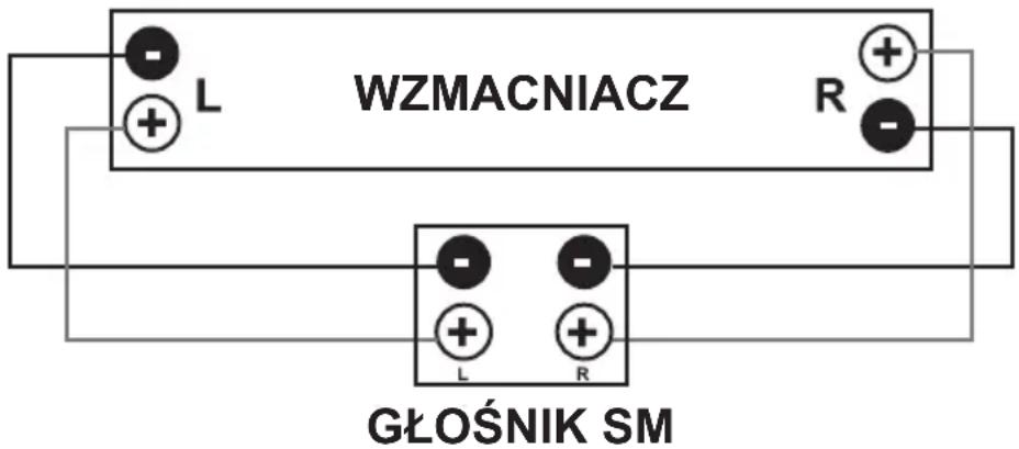 WZMACNIACZ GŁOŚNIK SM