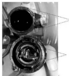 AGROPARTS DM53ES-D225 - Nalewanie oleju do silnika - 8