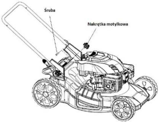 Śruba Nakrętka motylkowa