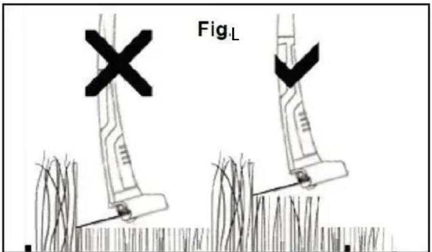 Fig.L