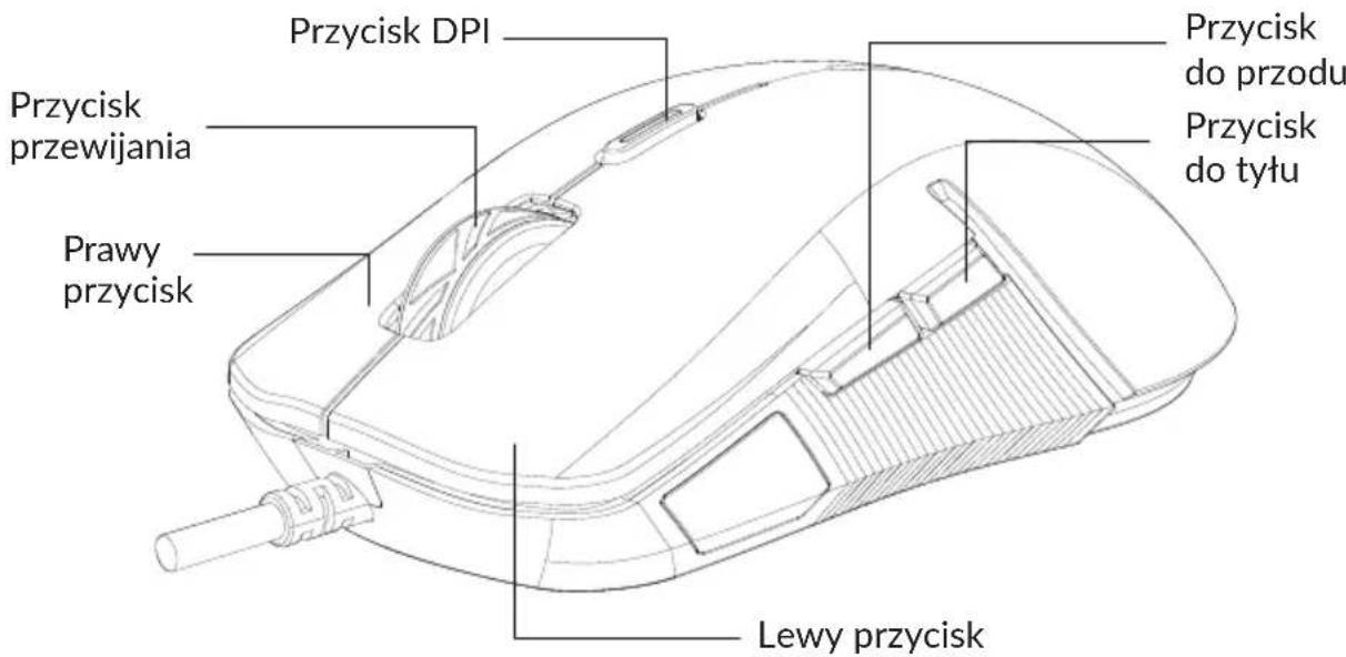Przycisk DPI Przycisk przewijania Prawy przycisk Przycisk do przodu Przycisk do tyłu Lewy przycisk