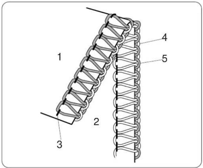 1 2 3 4 5