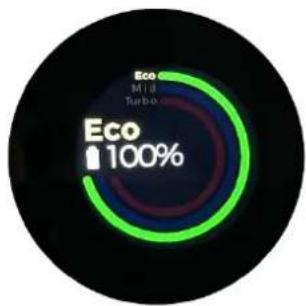 Eco MTB Turbo Eco 100%