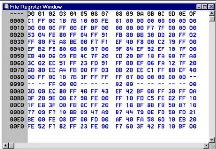 Microchip PIC12CR509A - File Registers Window Display Modes - 1