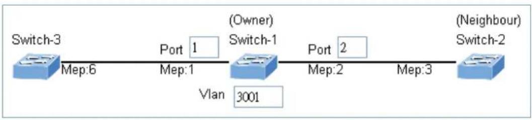 Planet ITS-6326-16T-LV - Set ERPS Configuration on Switch 1 - 2