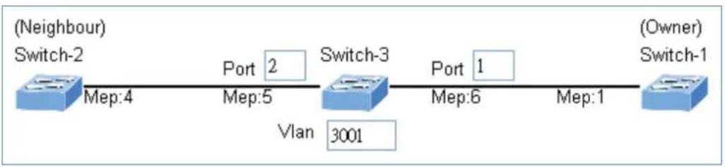 Planet ITS-6326-16T-LV - Set ERPS Configuration on Switch 3 - 1
