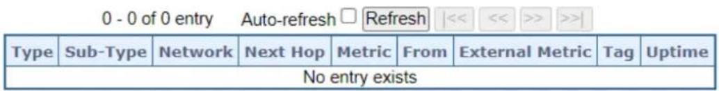 0 - 0 of 0 entry Auto-refresh □ Refresh |<< << >> >>| Type Sub-Type Network Next Hop Metric From External Metric Tag Uptime No entry exists