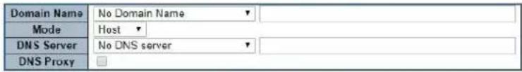Domain Name No Domain Name Mode Host DNS Server No DNS server DNS Proxy