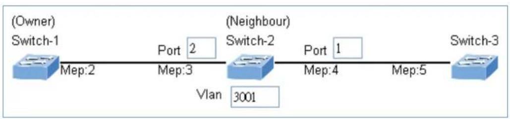Planet ITS-6326-16T-LV - Set ERPS Configuration on Switch 2 - 2