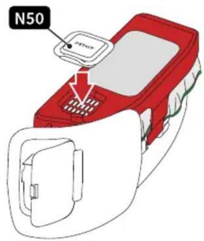 N50
