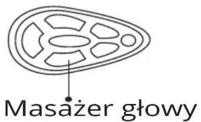 Masażer głowy