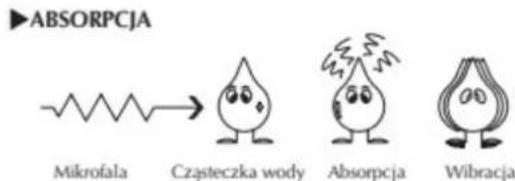 ▶ABSORPCJA Mikrofala → Czasteczka wody Absorpcja Wibracja