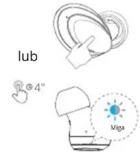 lub 4" Miga