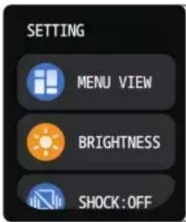 SETTING MENU VIEW BRIGHTNESS SHOCK:OFF