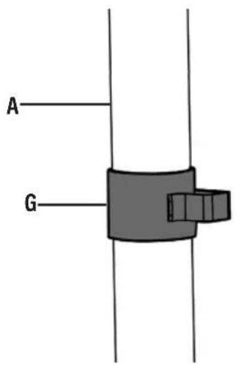 A G