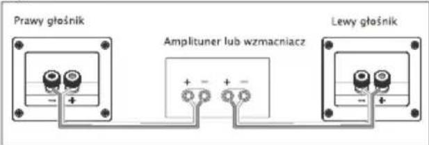 Prawy głośnik Amplituner lub wzmacniacz Lewy głośnik