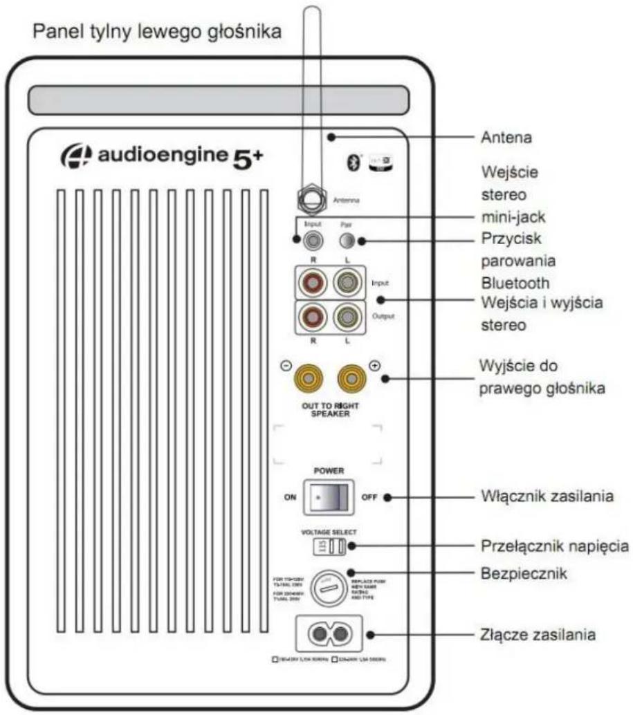 Panel tylny lewego głośnika audioengine 5+ Antena Wejście stereo mini-jack Przycisk parowania Bluetooth Wejścia i wyjścia stereo Wyjście do prawego głośnika OUT TO RIGHT SPEAKER POWER ON OFF VOLTAGE SELECT Przełącznik napięcia Bezpiecznik Złącze zasilania
