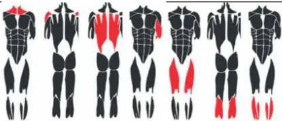 Finnlo Maximum Inspire Cross Rower CR2.5 - Wyświetlane dane - 14