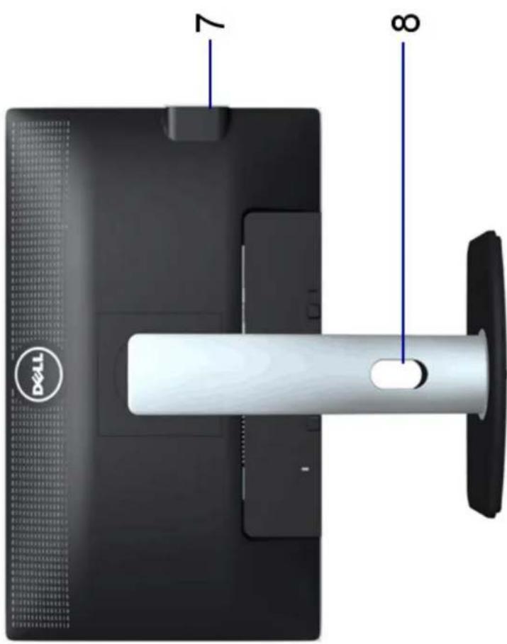 DELL P2012H - Front View - 3