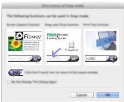 Description of Drop effects The following functions can be used in Drop effects. Screen Custom Function Drop and Drop function Print Text Function Flower Electronic Labeling System P-Button1 A.2003 Close this P insert can be returned to the latest window. On First Display: This Drop effect Cancel OK