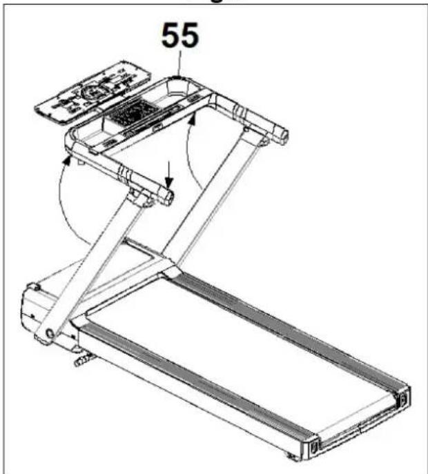 55