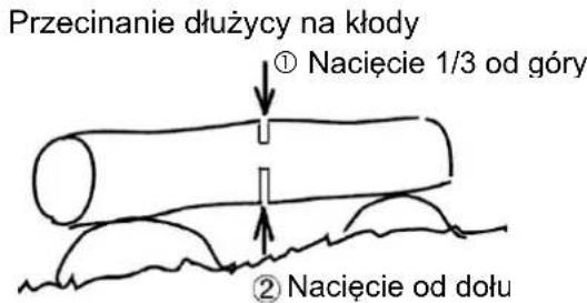 Przecinanie dłużycy na kłody ① Nacięcie 1/3 od góry ② Nacięcie od dołu