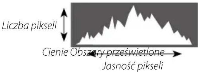 Liczba pikseli Cienie Obszary prześwietlone Jasność pikseli