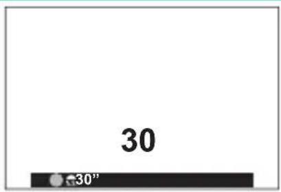 30 30"