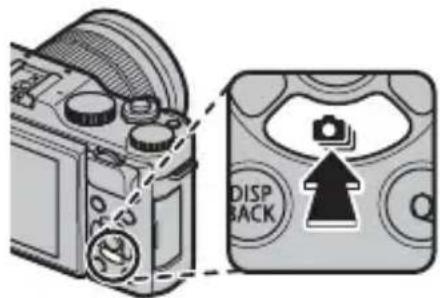 DISP BACK