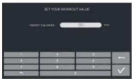 SET YOUR WORKOUT VALUE TARGET CALORIES 200 mm ✓ ✓ ✓ ✓