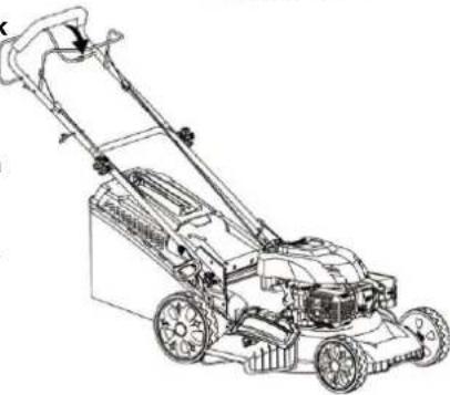 AGROPARTS DM53S-B750 - Czyszczenie zalanego silnika - 3