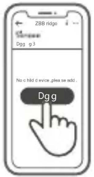 ZBB ridge Dgg g 3 No c hild d evice ,plea se add . Dgg