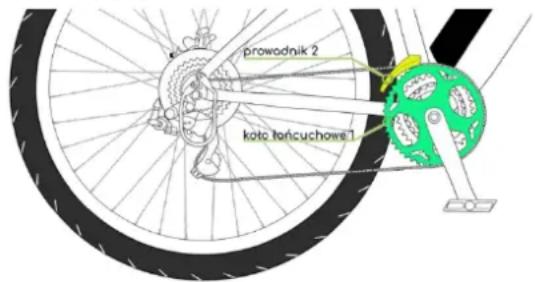 prowadnik 2 kota toncuchowe 1