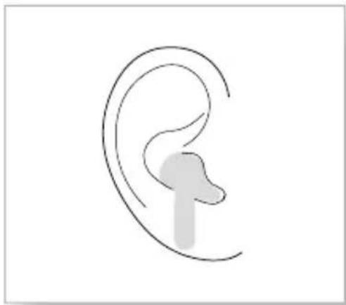 MOTOROLA Moto Buds+ - Noszenie słuchawek - 1