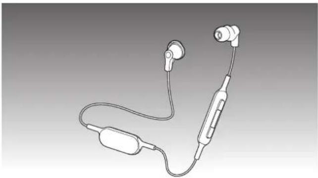 PANASONIC RP-NJ300B - 3