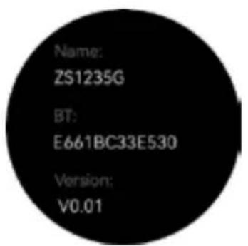 Name: ZS1235G BT: E661BC33E530 Version: V0.01