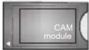 JVC LT55VU3000 - Cyfrowy teletekst - 25